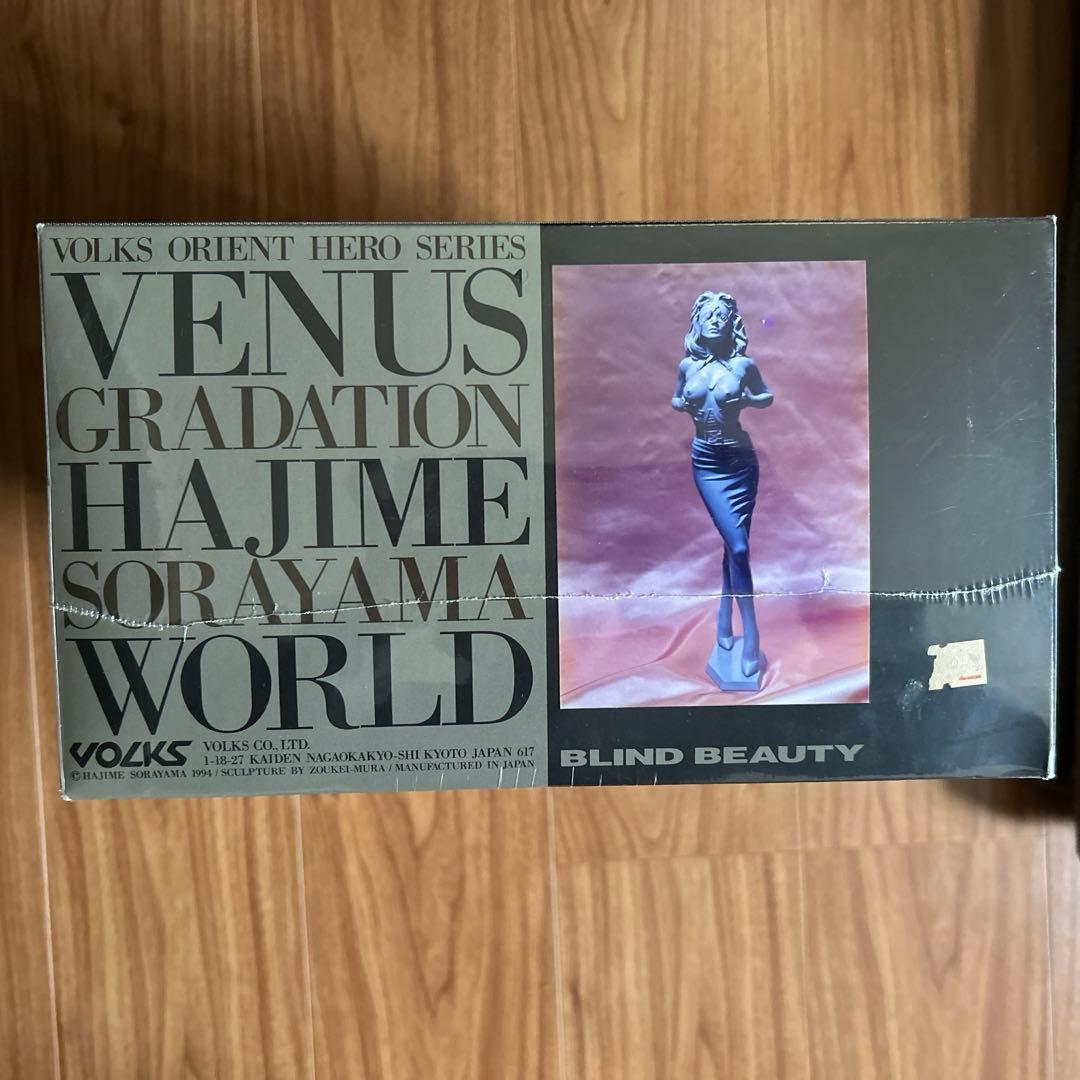 【激レア商品】VOLKS　ブラインドビューティー　1/4 空山基ガレージキット