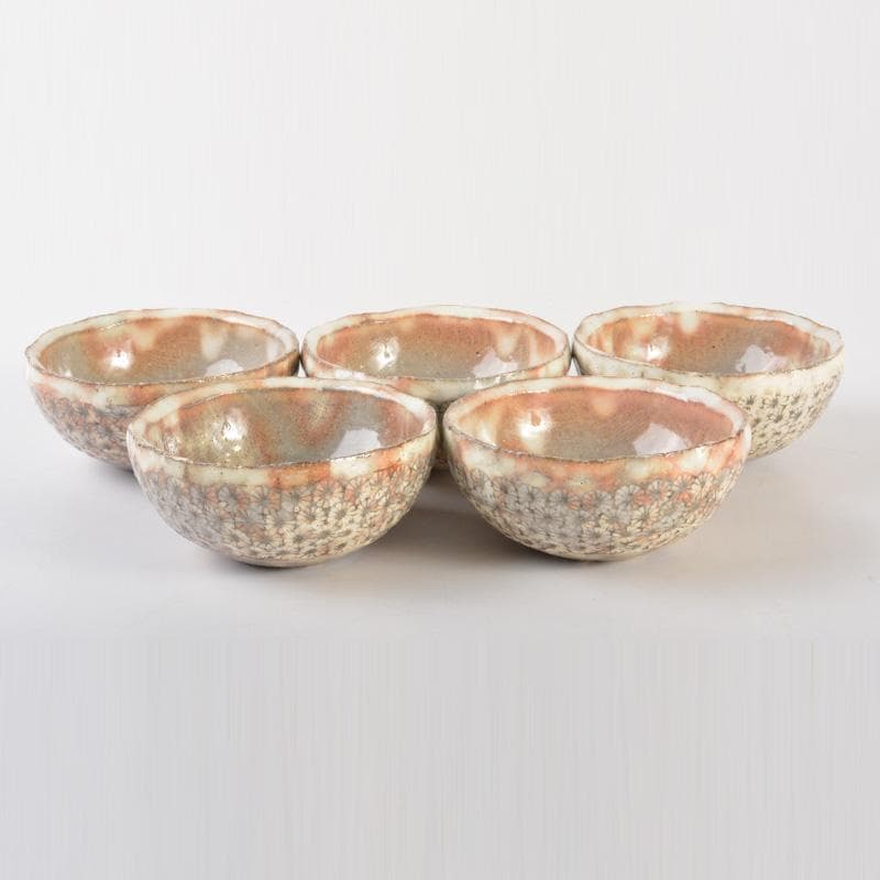 和食器　天翔窯　高橋佐門作　花文　小鉢　五客　共箱　C　6509