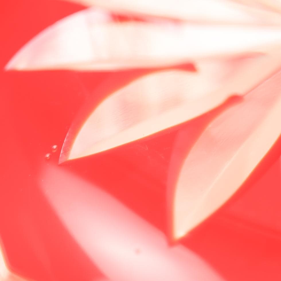 ボヘミアガラス 朱色 ボウル 32cm 花生け