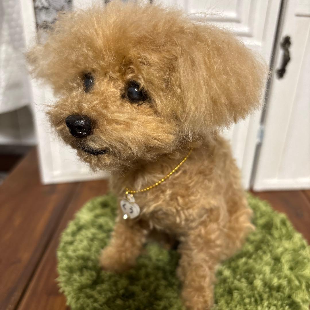 羊毛フェルト トイプードル　さっさ