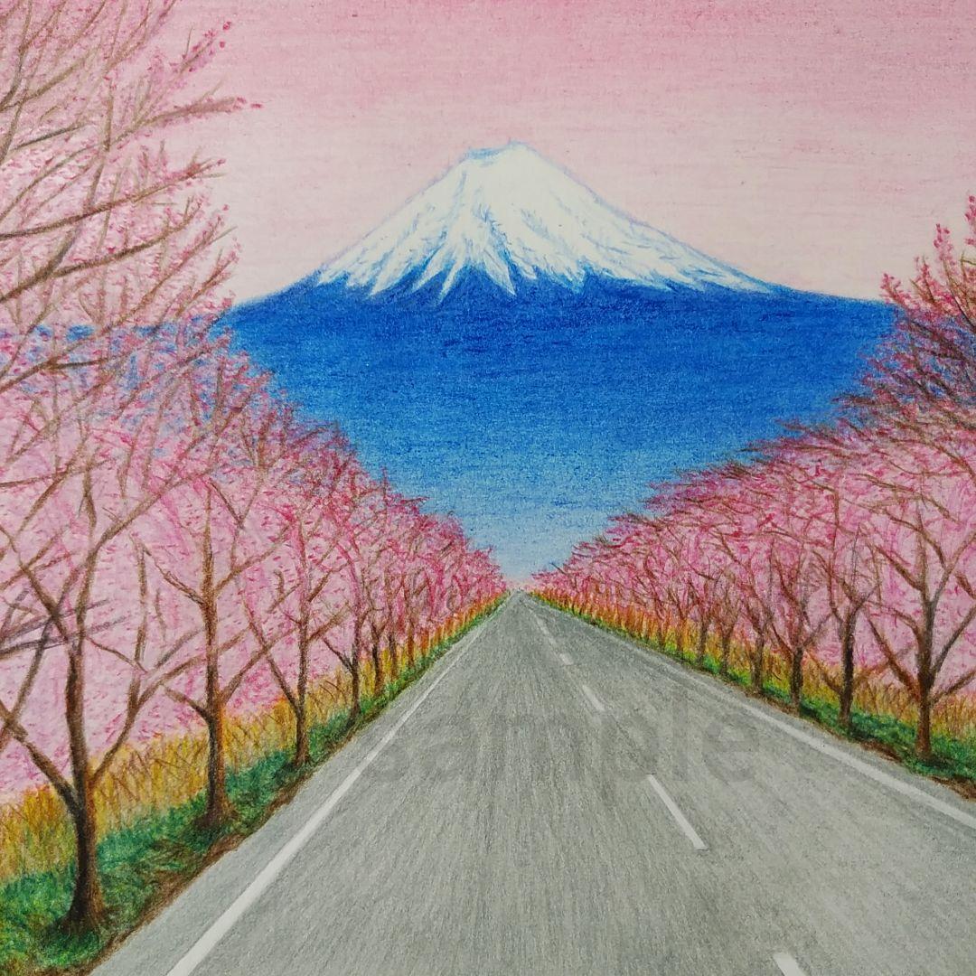 絵画色鉛筆風景画『富士と桜並木』原画