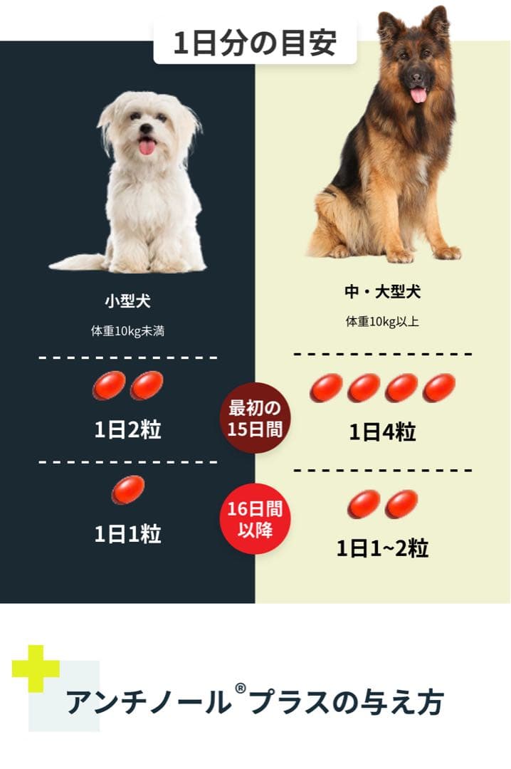 VetZ PetZ アンチノール 90粒 3箱