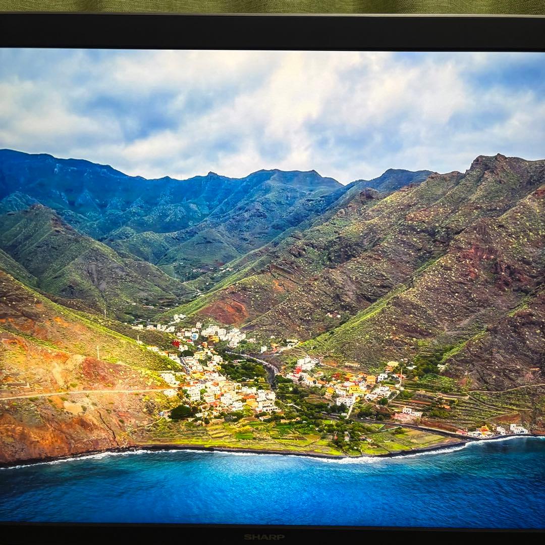 SHARP　シャープ　IGZO 4K対応　モニター　32V型　PN-K321