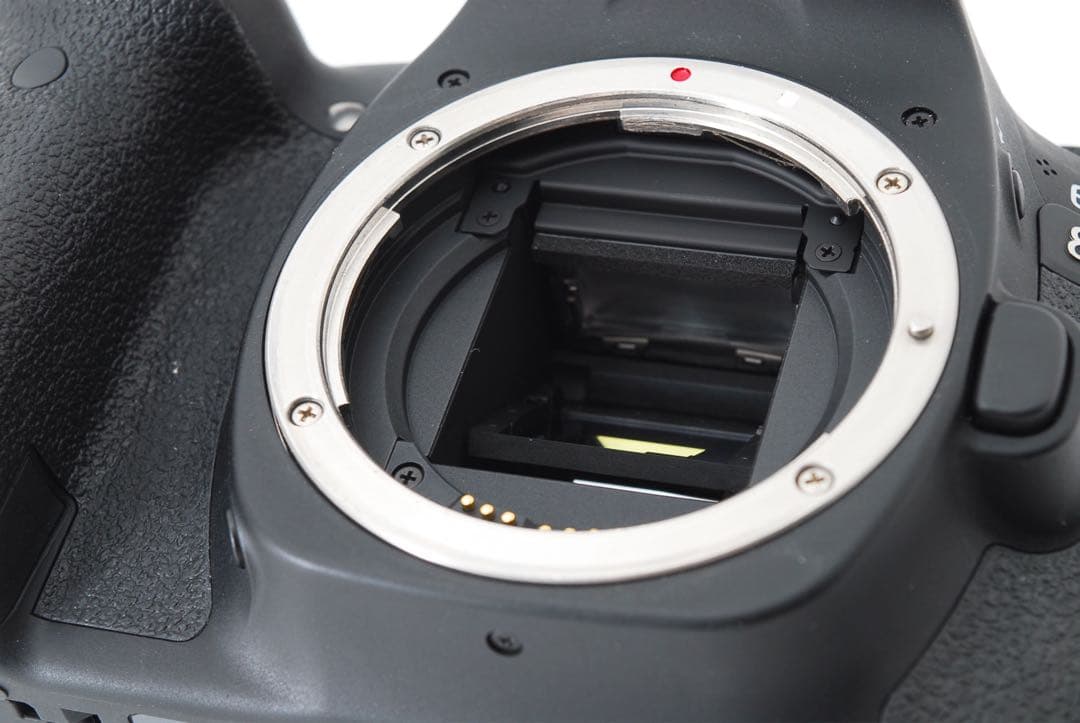 保証付き/Canon EOS80D/標準&望遠ダブルレンズセット