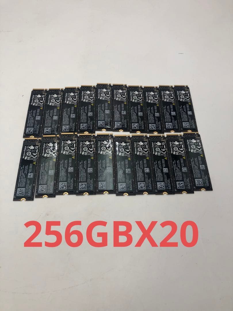 内蔵型SSD Westem Digita PC SN720 NVMe SSD 256GBX20