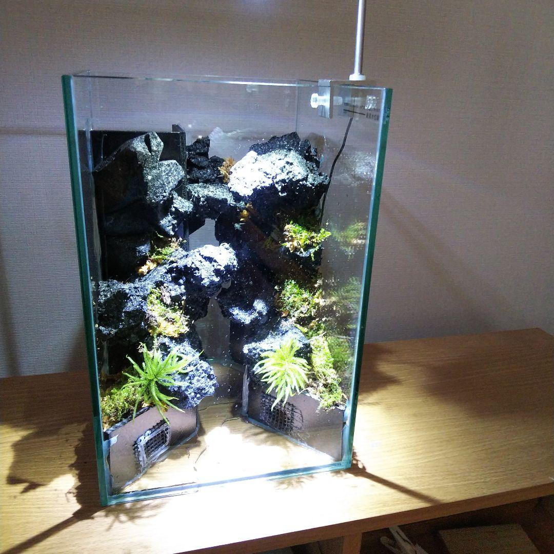 【完成品】滝の流れるアクアテラリウム　イモリウム　苔　　アクアテラリウム完成品