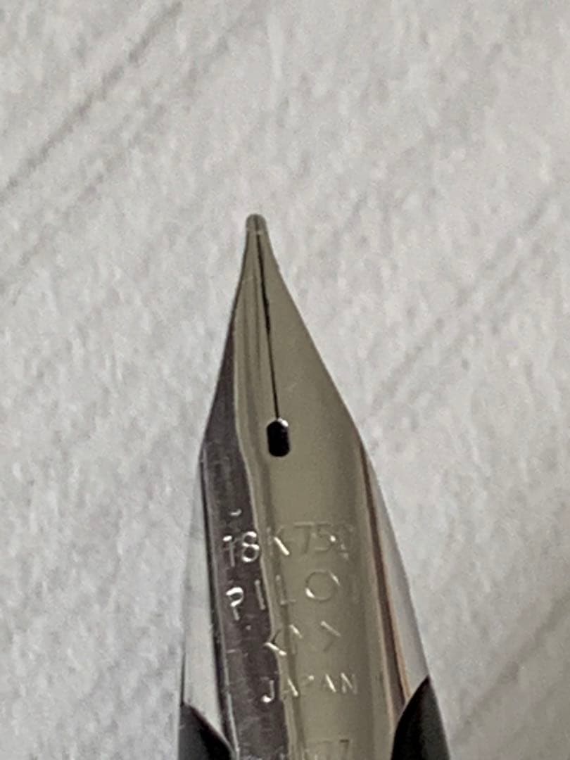 PILOT パイロット Elite 蝕刻 万年筆 18K