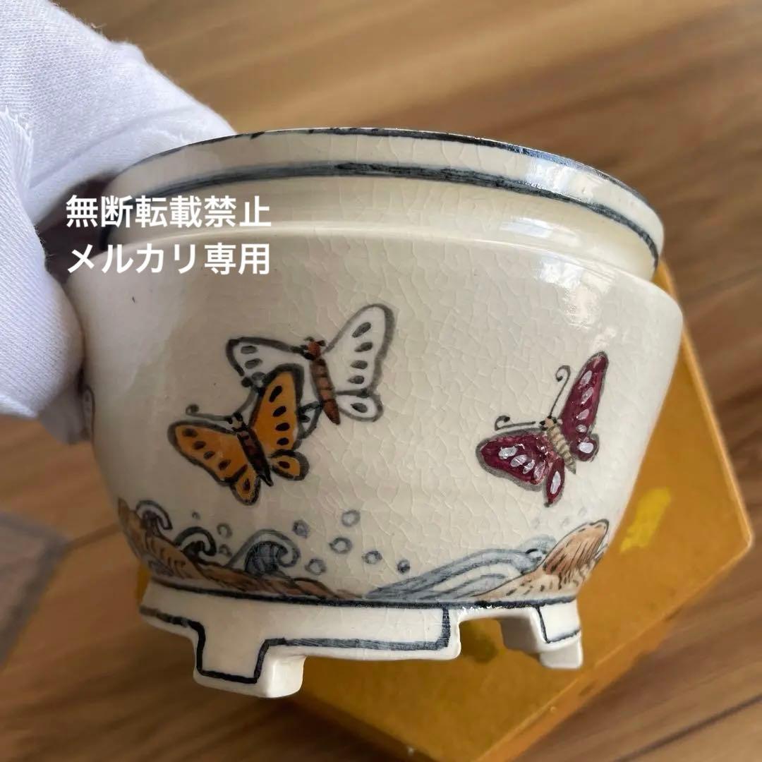 盆栽鉢　丸鉢　絵鉢　桑津香石　蝶柄　山野草　小品盆栽