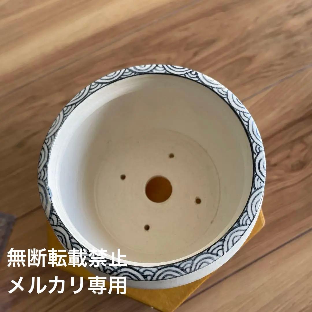 盆栽鉢　丸鉢　絵鉢　桑津香石　蝶柄　山野草　小品盆栽