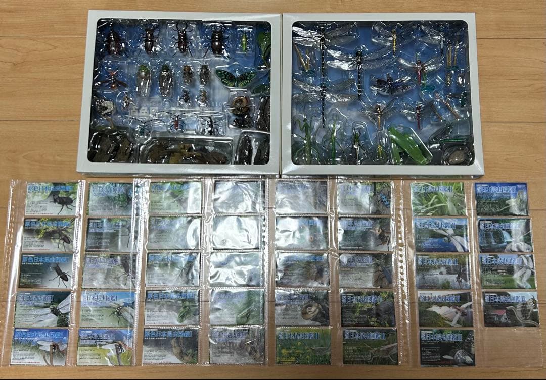 原色日本昆虫図鑑 Ⅰ Ⅱ コレクションBOX Ⅰ Ⅱ フルコンプセット