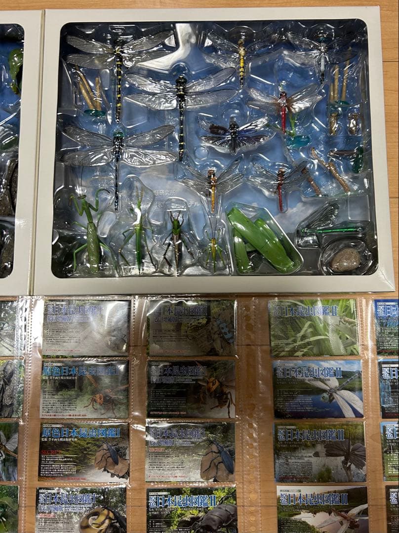 原色日本昆虫図鑑 Ⅰ Ⅱ コレクションBOX Ⅰ Ⅱ フルコンプセット