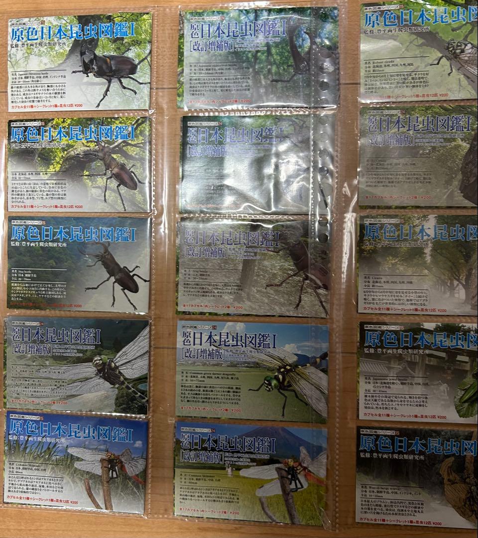 原色日本昆虫図鑑 Ⅰ Ⅱ コレクションBOX Ⅰ Ⅱ フルコンプセット