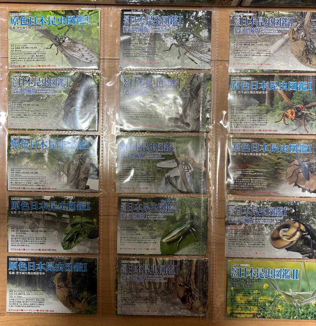 原色日本昆虫図鑑 Ⅰ Ⅱ コレクションBOX Ⅰ Ⅱ フルコンプセット