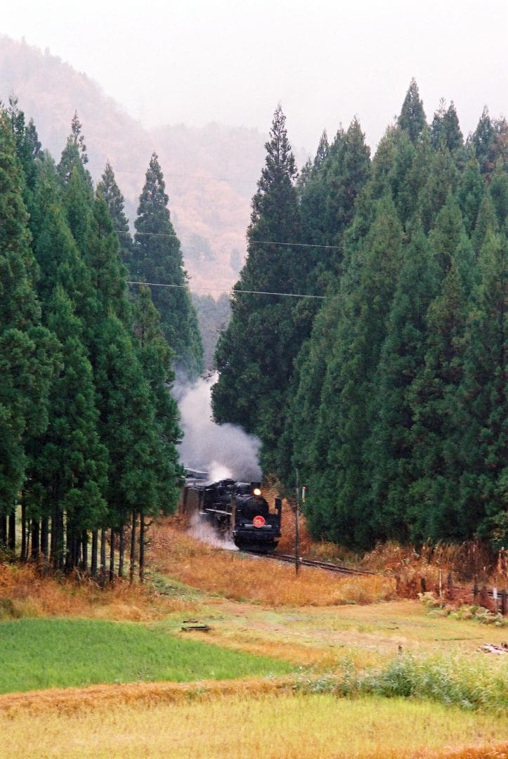 【実写確認済整備品】キャノンAV-1ブラック／ニューFD35-70mmf4付