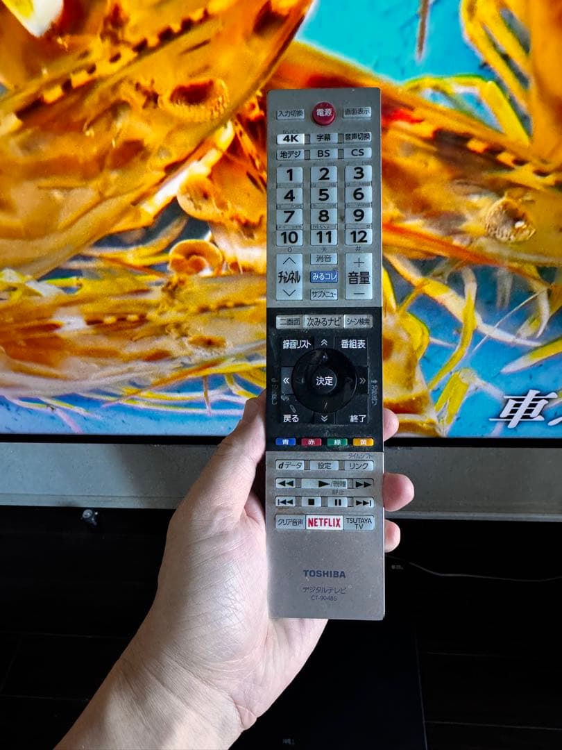 REGZA55V型地上・BS・110度CSデジタル4Kチューナー内蔵LED液晶