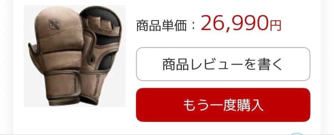 HAYABUSA ブラウン オープンフィンガーグローブ