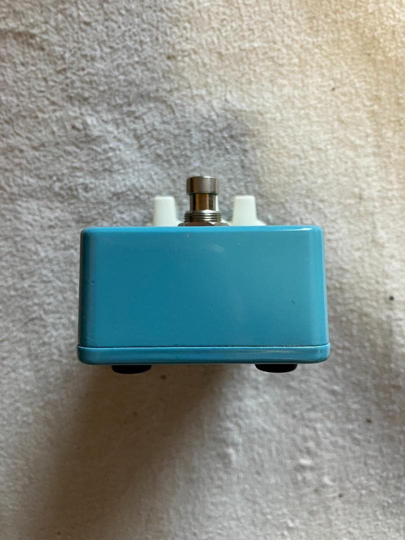 ギター Animals Pedal RELAXING WALRUS DELAY