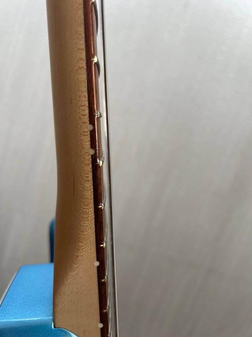 ギター Fender Player Plus Stratocaster