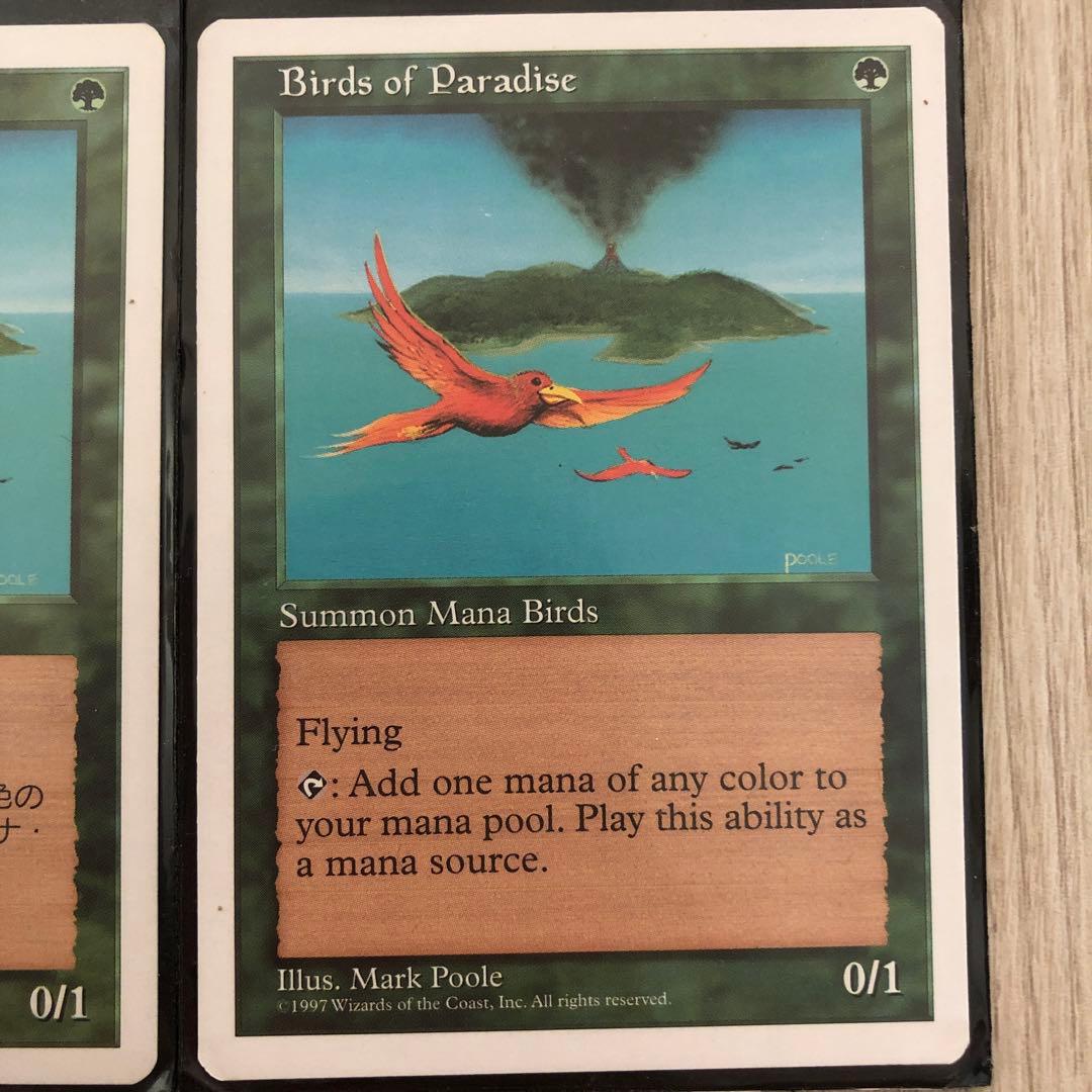 極楽鳥  白枠　4枚セット　マジックザギャザリング