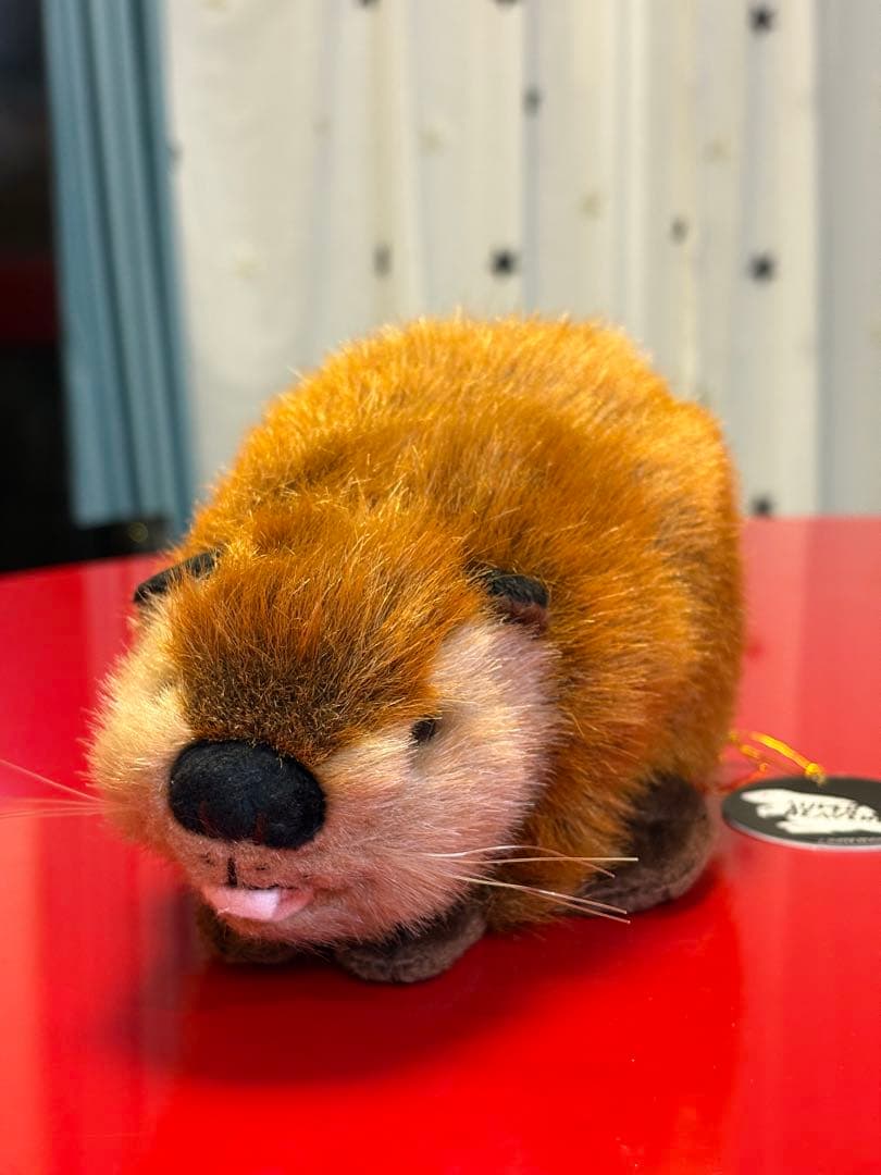 ま*さ様 SUPER BEAVER スーパービーバーちゃん