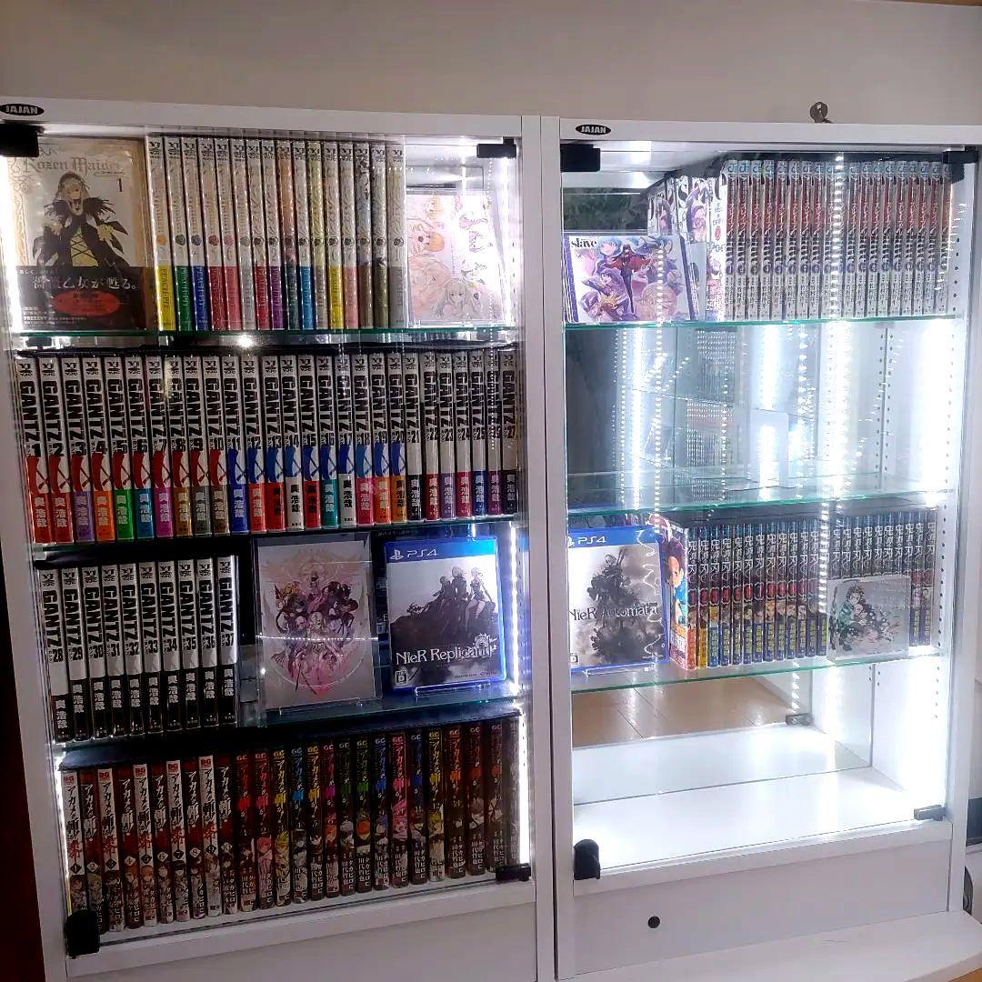 JAJAN コレクションラック レギュラー ロータイプ 幅55cm×奥行19cm