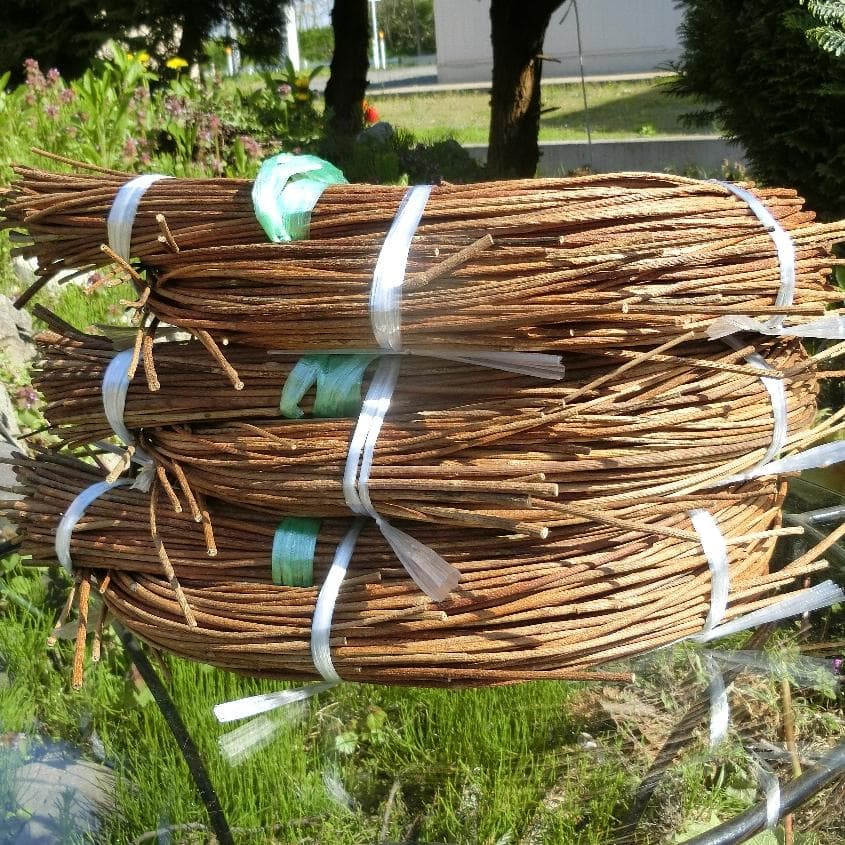 michifurano213　青森岩木山　あけび蔓　150cm～ 3kg