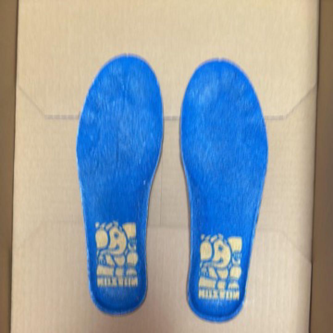 NIKESB エリックコストン28.0センチ