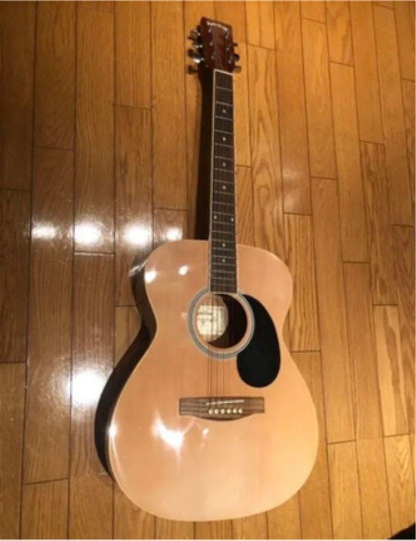 アコギ アコースティックギター