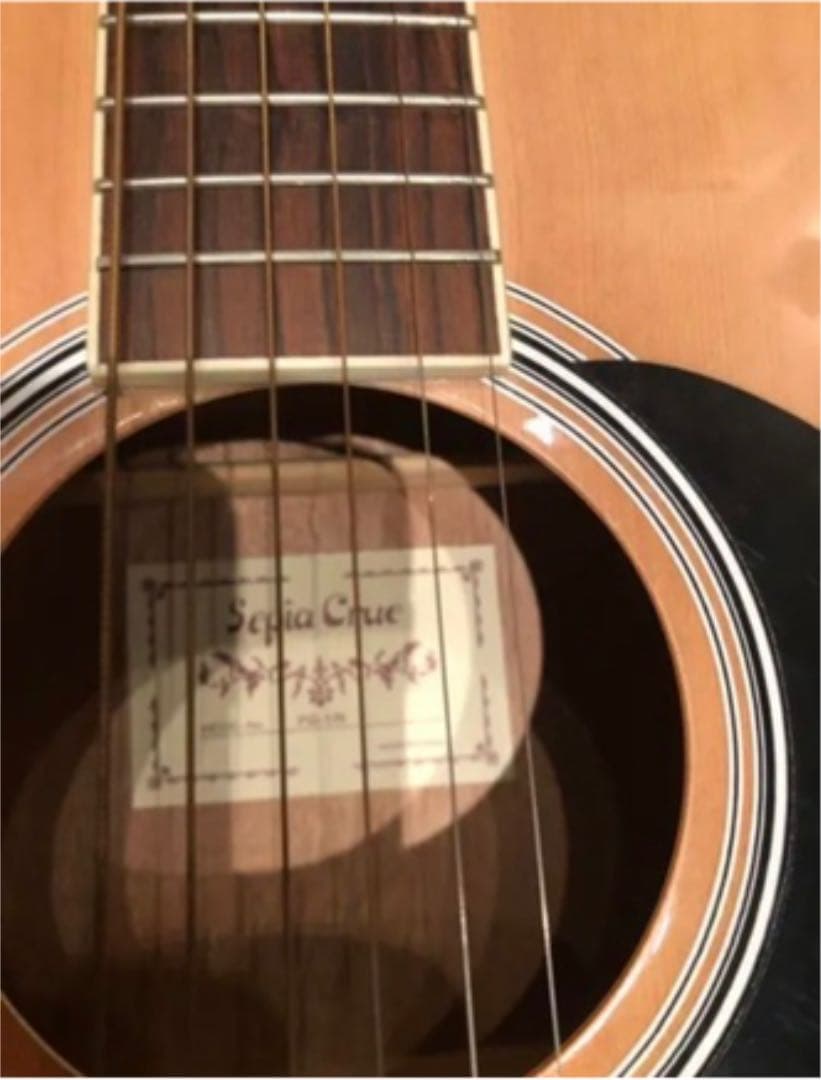 アコギ アコースティックギター