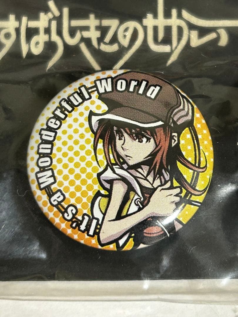 すばらしきこのせかい 缶バッジ　希少