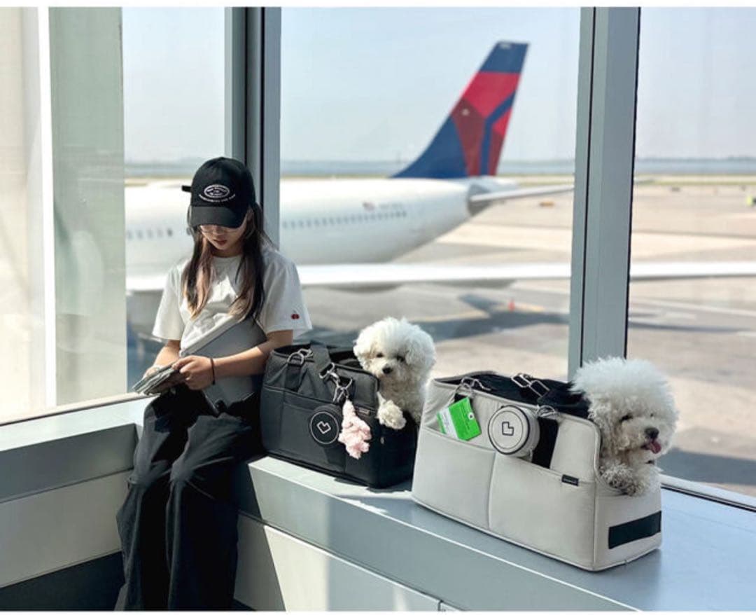 SSOOOK BAG 犬用 キャリーバッグBEIGE Lサイズ