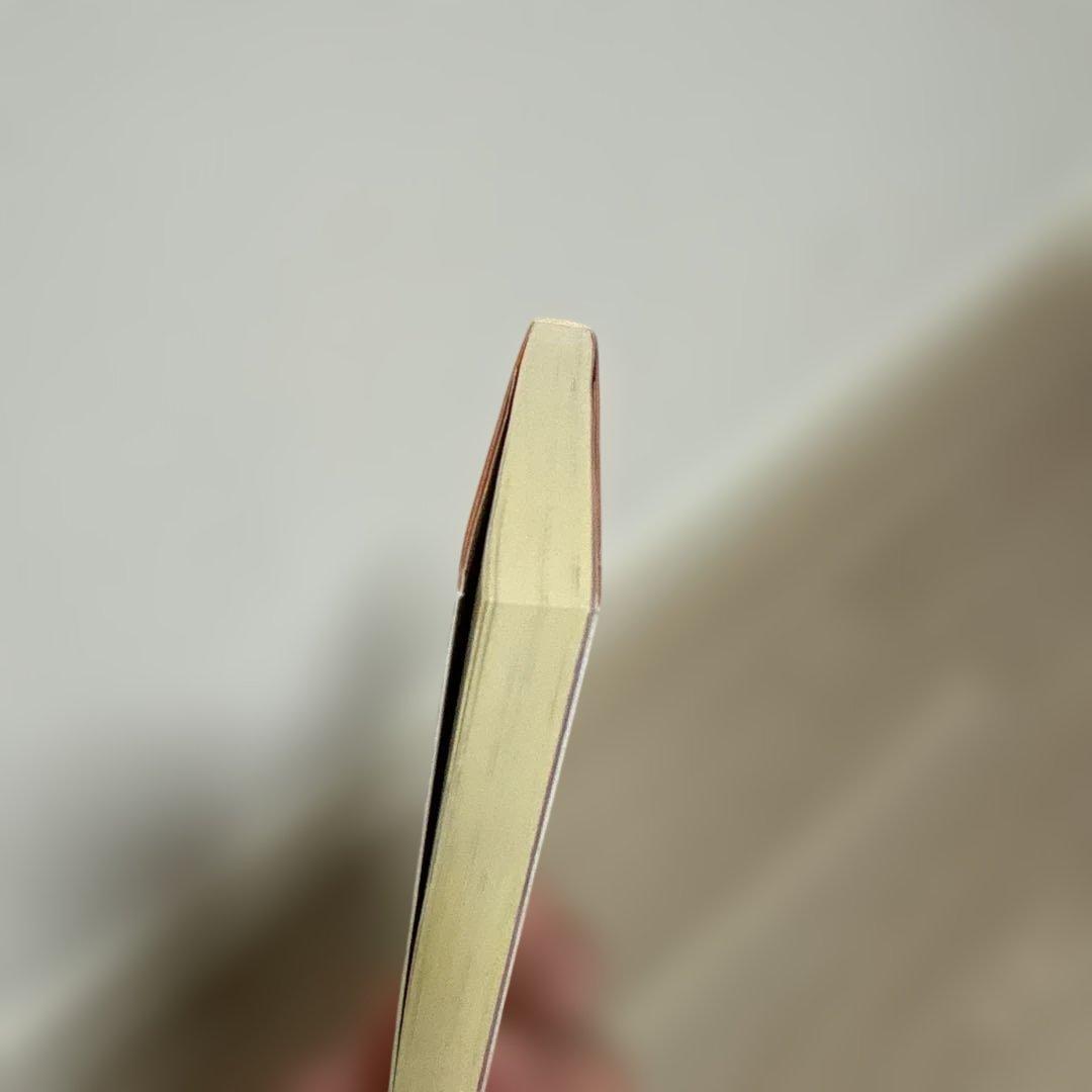 涼宮ハルヒの憂鬱　小説　初版　金帯付