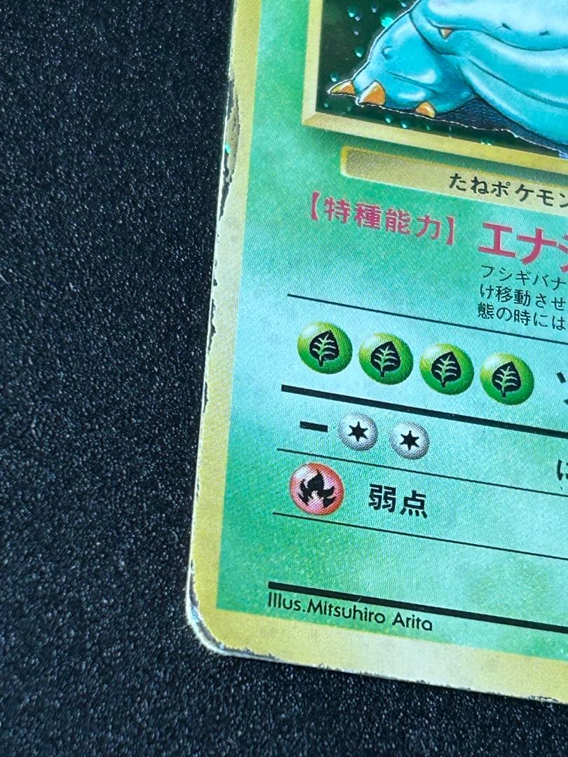 フシギバナ ★ 第1弾拡張パック（旧裏 初版 マークなし）