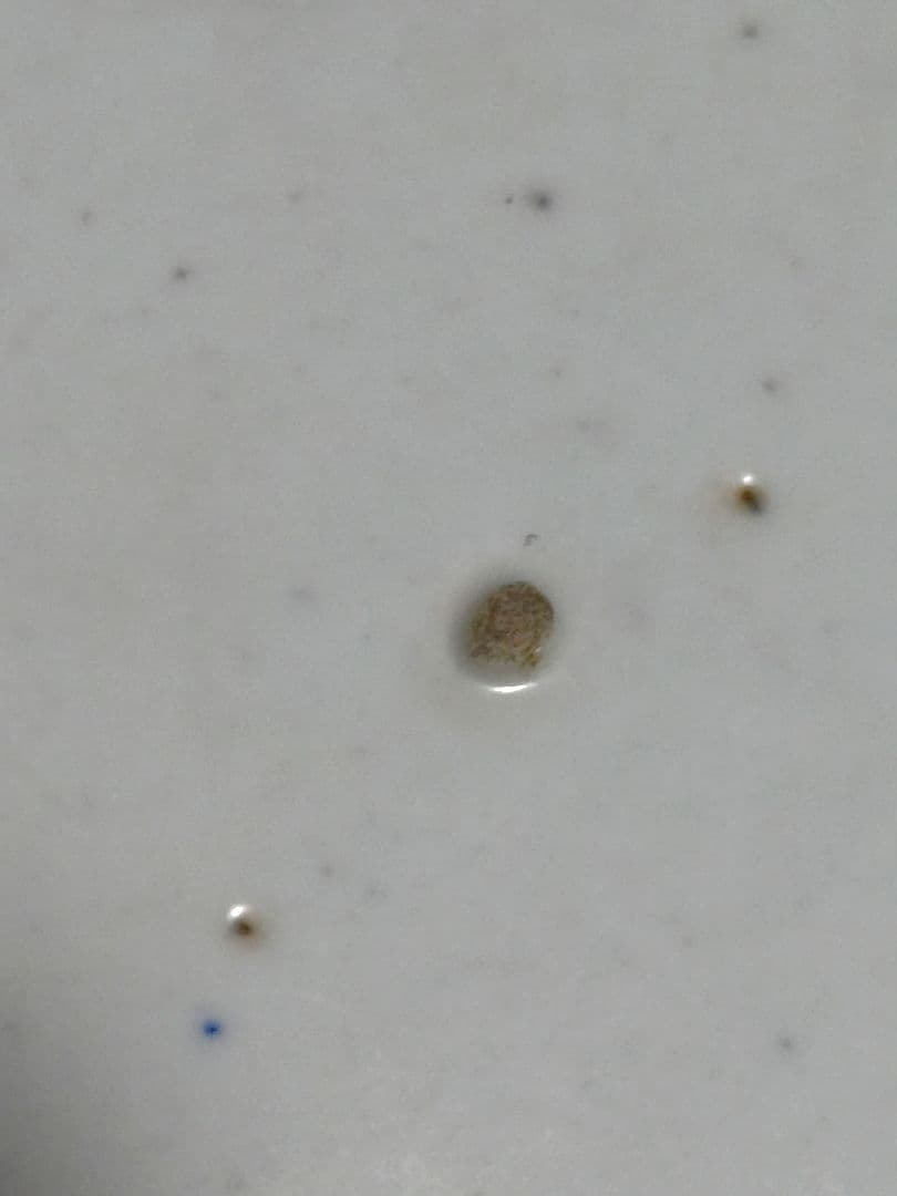 古伊万里　青磁　中皿　皿　染付　山水文　金彩　輪花　3客セット