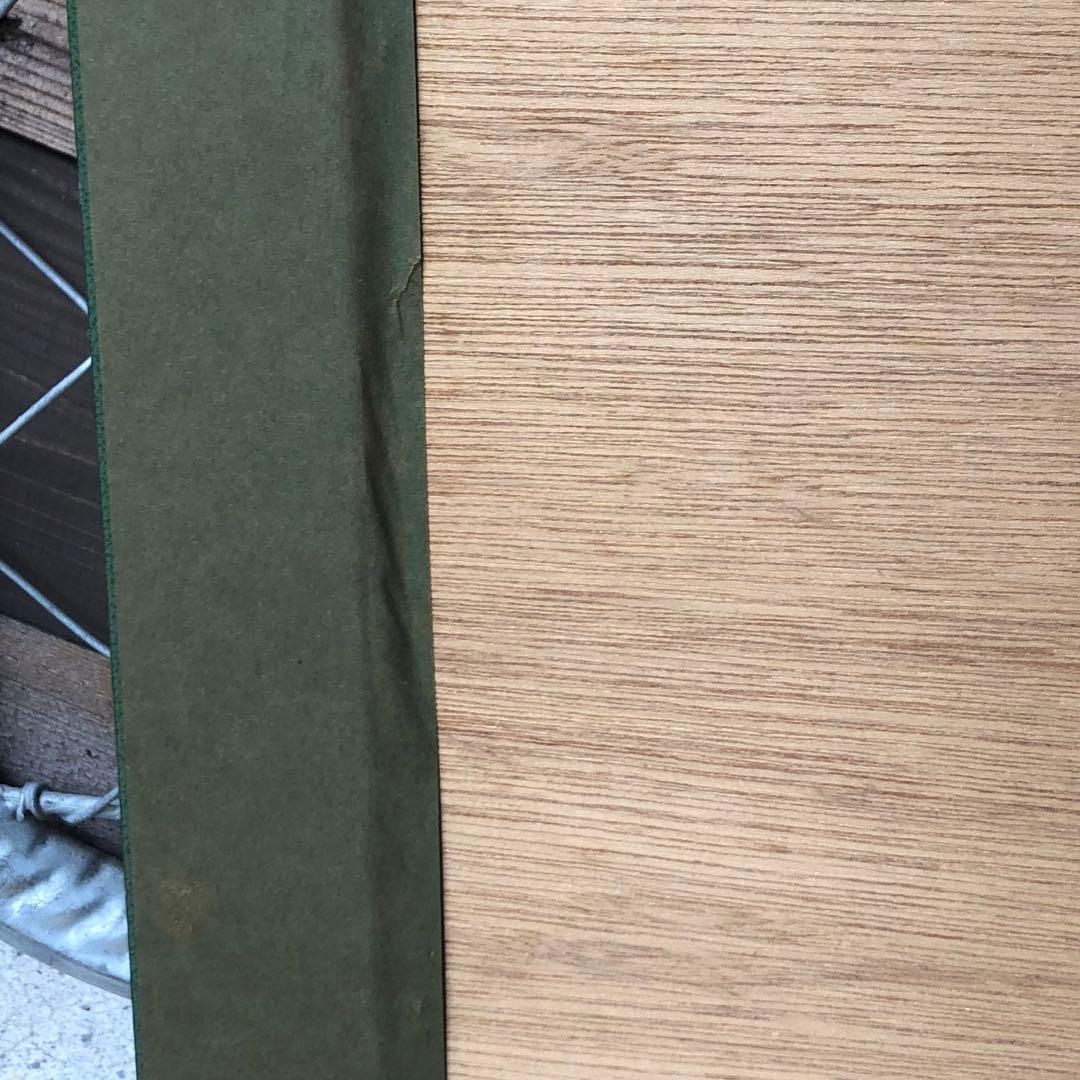 真作保証 グスタフ・クリムト 水蛇 額装67 /250 Gustav Klimt