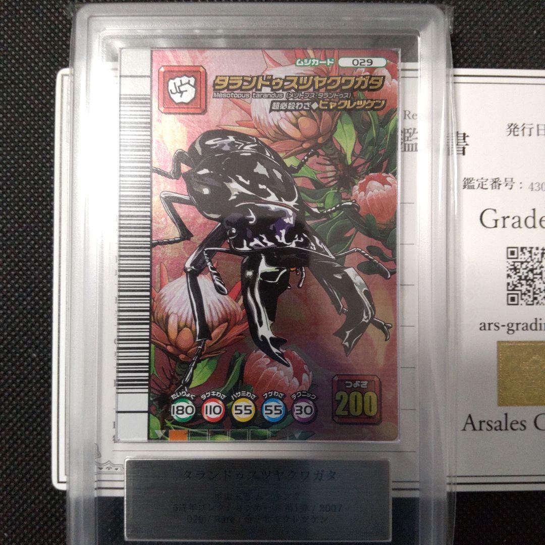 タランドゥスツヤクワガタ　5周年コレクションカード　ARS10 PSA10相当