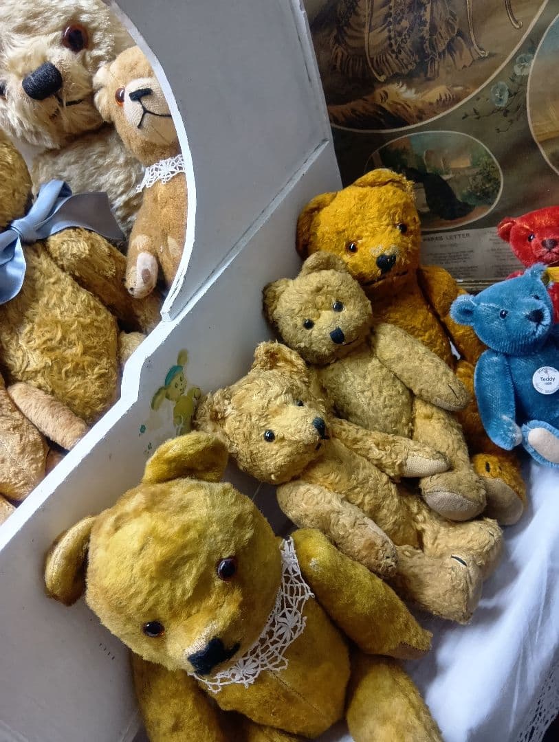 ♥ドイツからやって来た賢いお顔の　アンティーク　テディベア♥