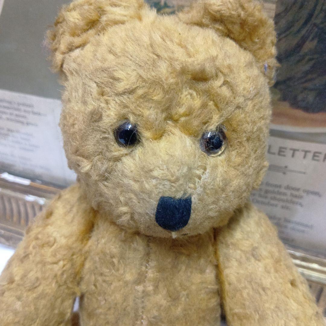 ♥ドイツからやって来た賢いお顔の　アンティーク　テディベア♥