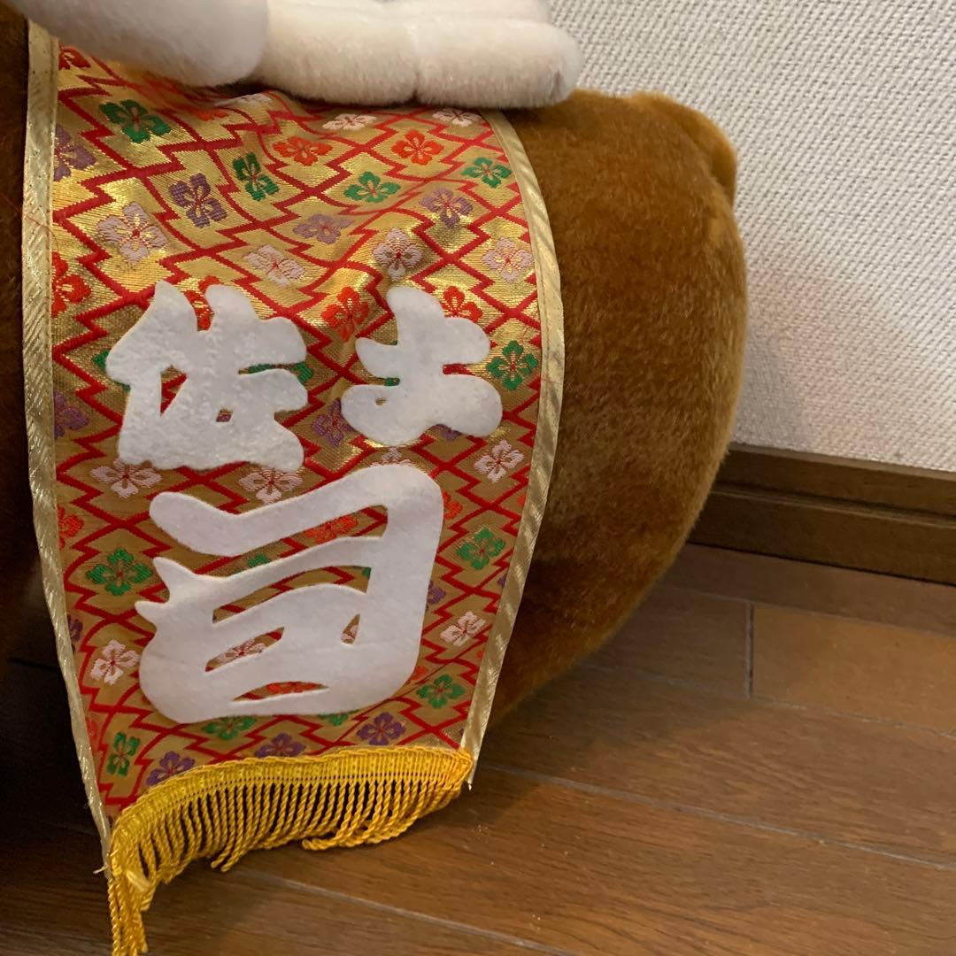 土佐犬ぬいぐるみ【闘犬】