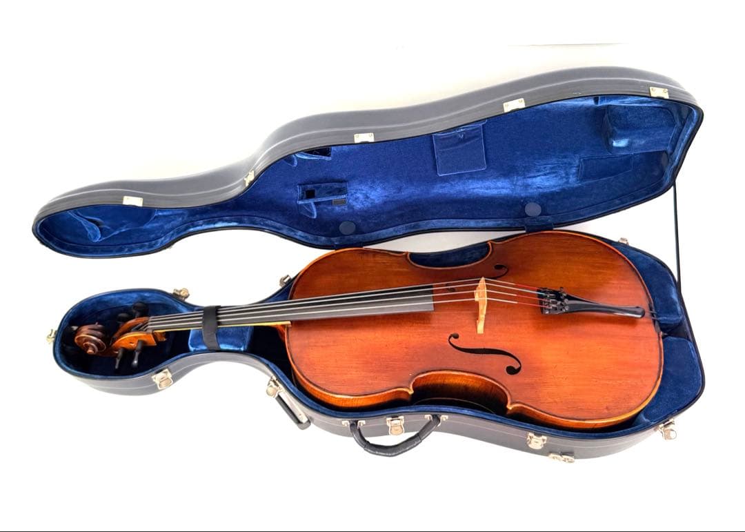 弦楽器 Gliga Strumenti musicali eseguiti 4/4