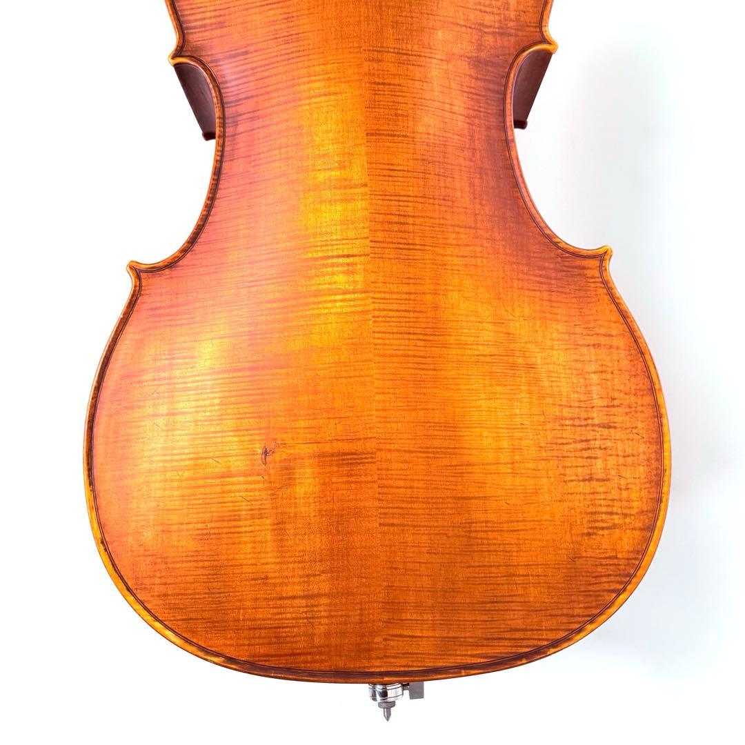 弦楽器 Gliga Strumenti musicali eseguiti 4/4