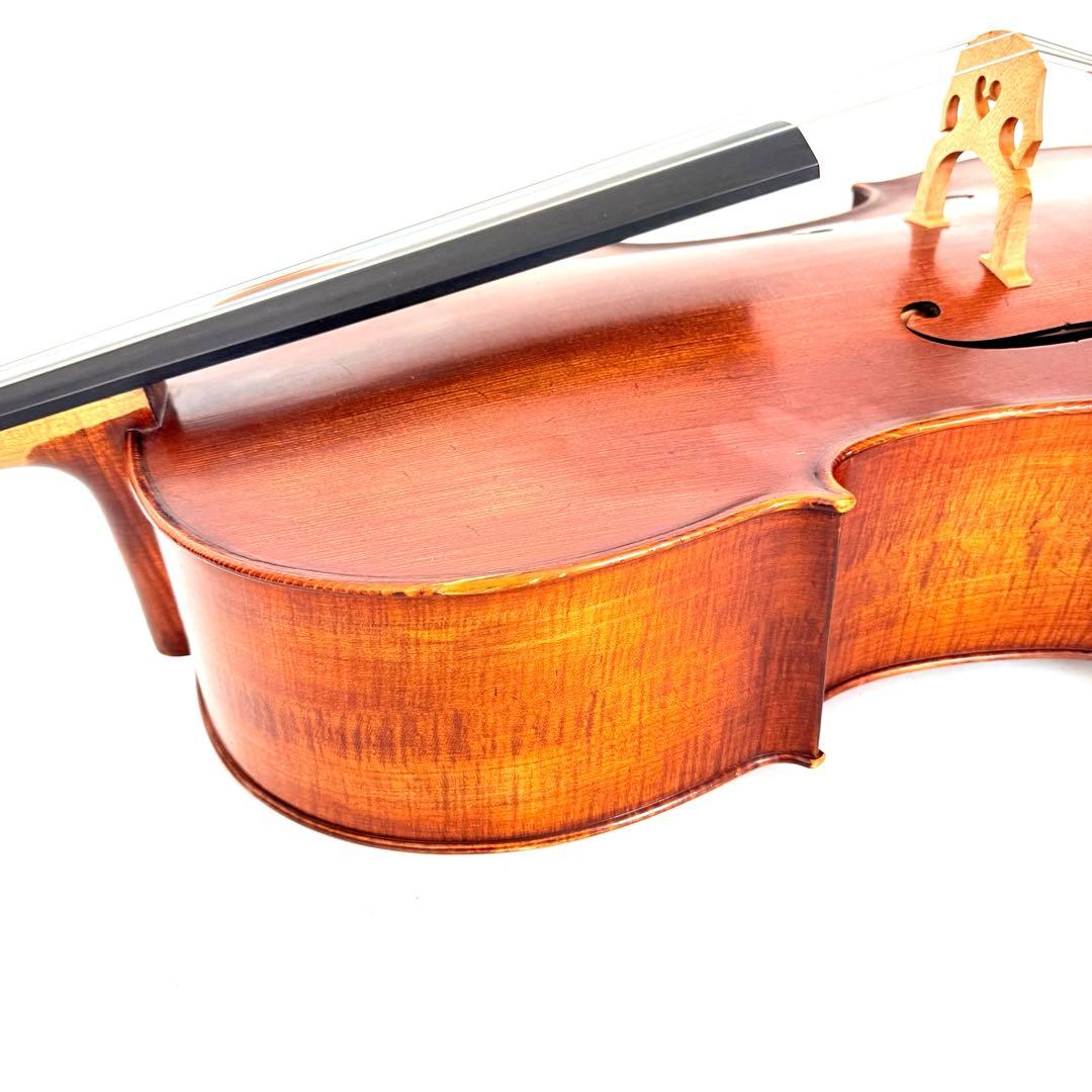 弦楽器 Gliga Strumenti musicali eseguiti 4/4