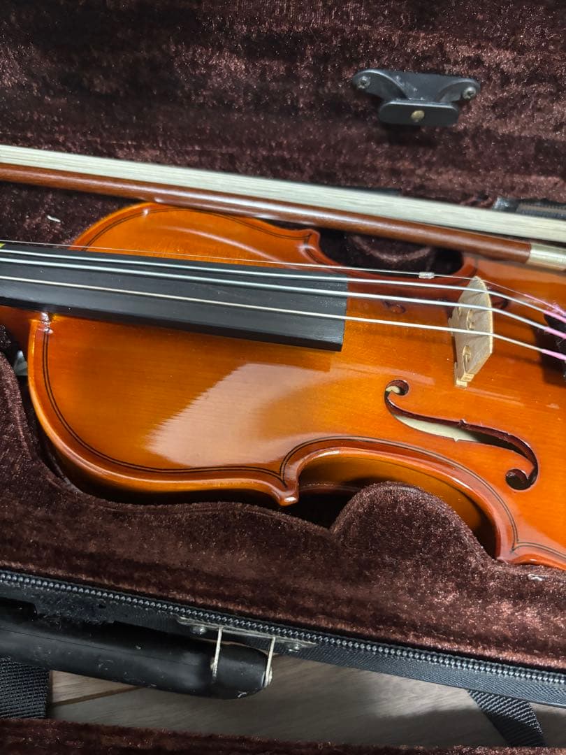 極美品✨ カルロジョダーノ VS-1 1/8 2015 分数バイオリン 弦楽器