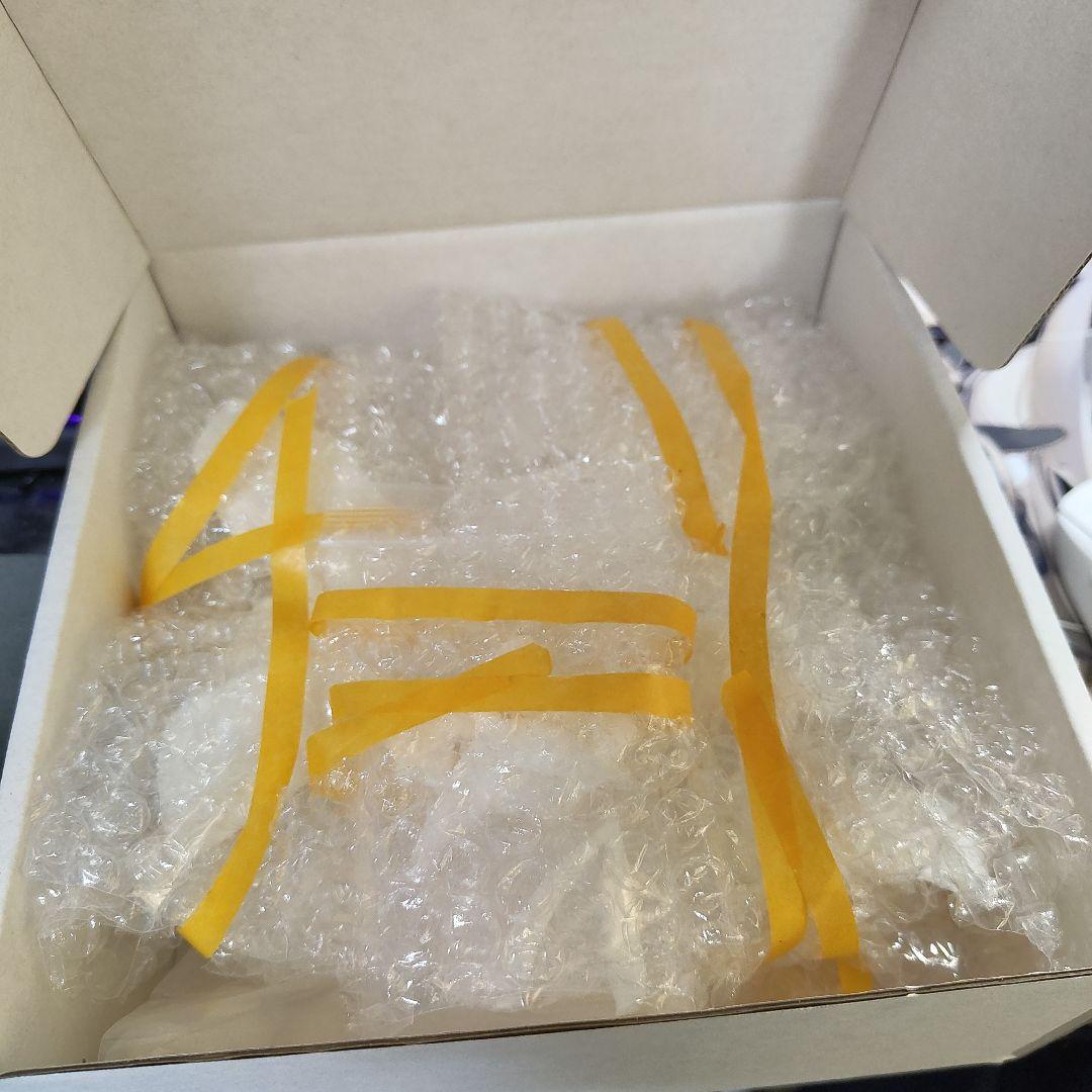 未塗装未組立ガレージキット ブルーアーカイブ プラナ rotation lock