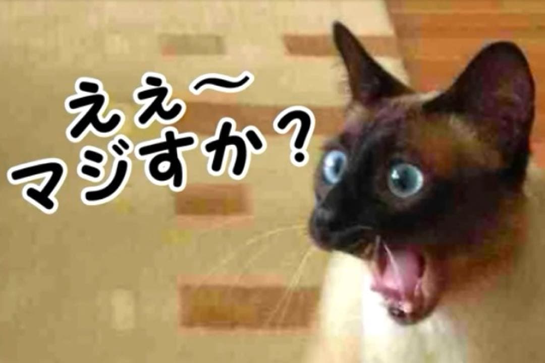 【初版・極美品】アイナナ きらどるぬいぐるみ アイナナパレード モンぬい 亥清悠