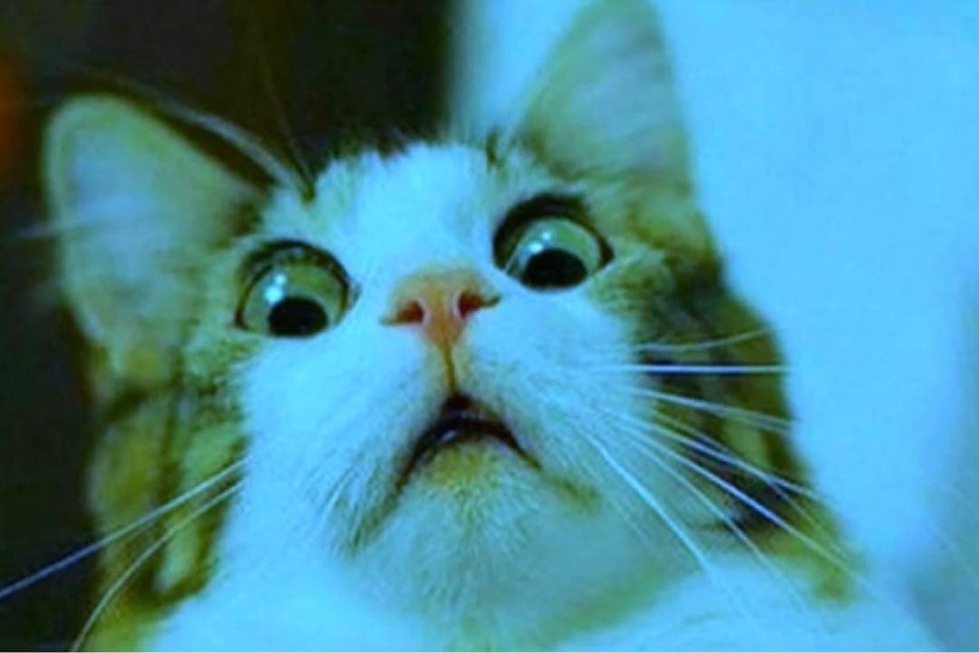 【初版・極美品】アイナナ きらどるぬいぐるみ アイナナパレード モンぬい 亥清悠