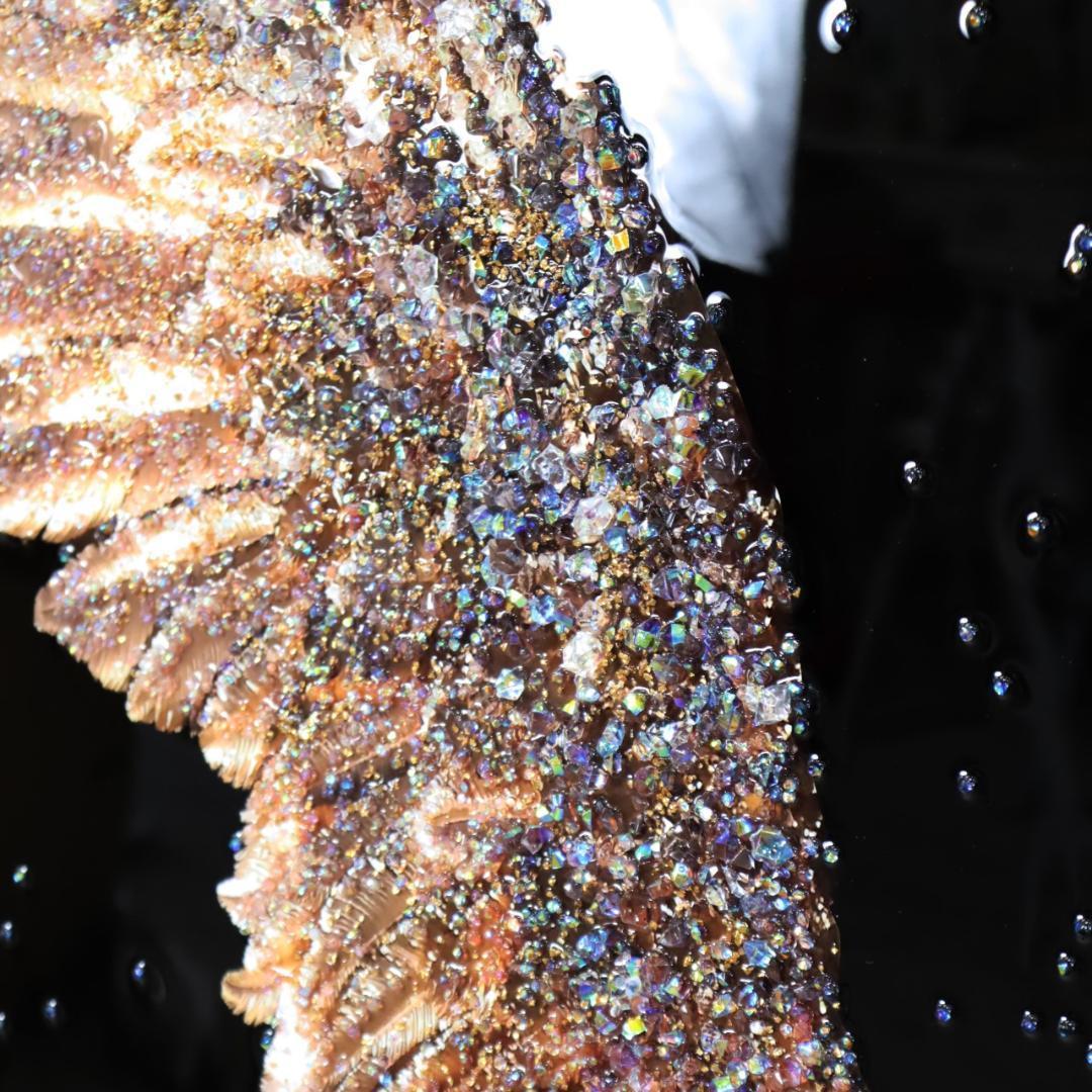 アートフレーム ピース 幸運の翼 風景 絵画 クリスタルピクチャー ウォールデコ