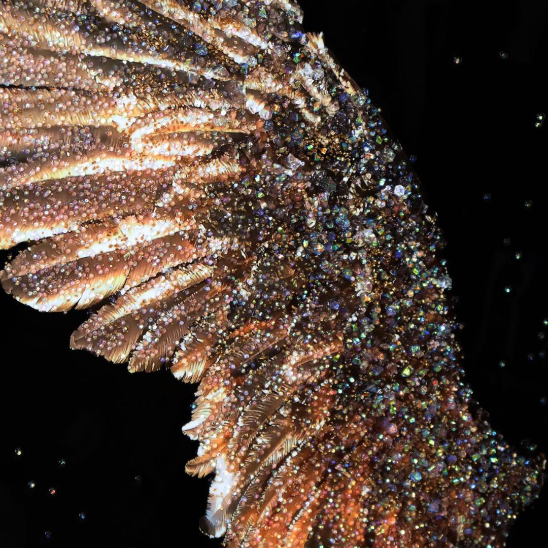 アートフレーム ピース 幸運の翼 風景 絵画 クリスタルピクチャー ウォールデコ