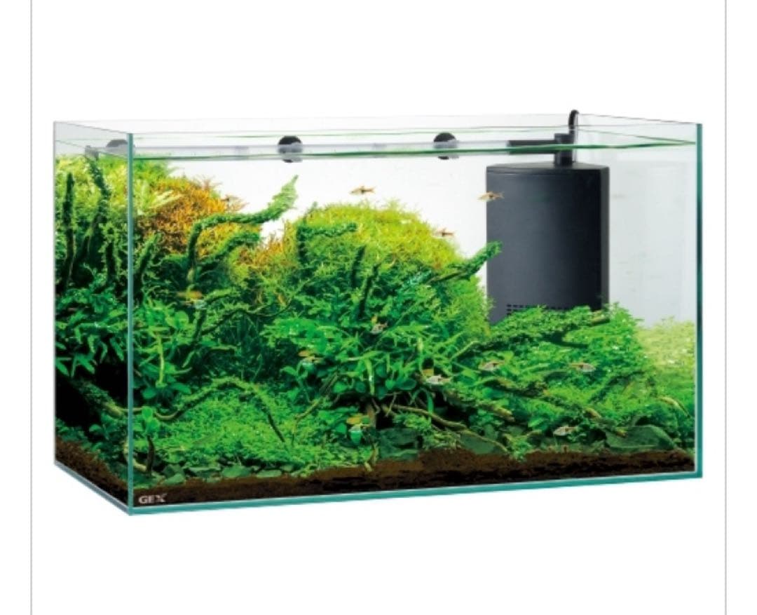 GEX AQUARIUM グラステリアサイレント600ST 静音フィルター付