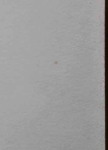 荻須高徳 【ル・ポンヌフ】 リトグラフ